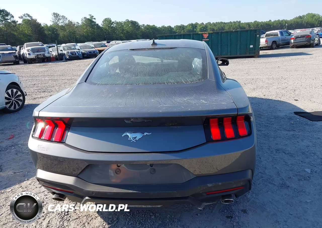 2024 Ford Mustang Ecoboost Fastback VIN:1FA6P8TH5R5135812 - 16