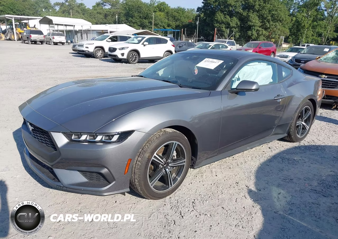2024 Ford Mustang Ecoboost Fastback VIN:1FA6P8TH5R5135812 - 2