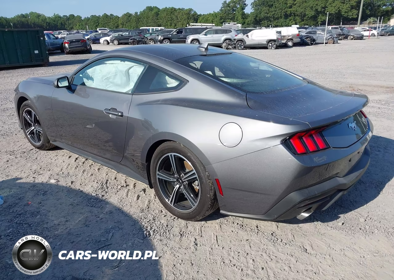 2024 Ford Mustang Ecoboost Fastback VIN:1FA6P8TH5R5135812 - 3