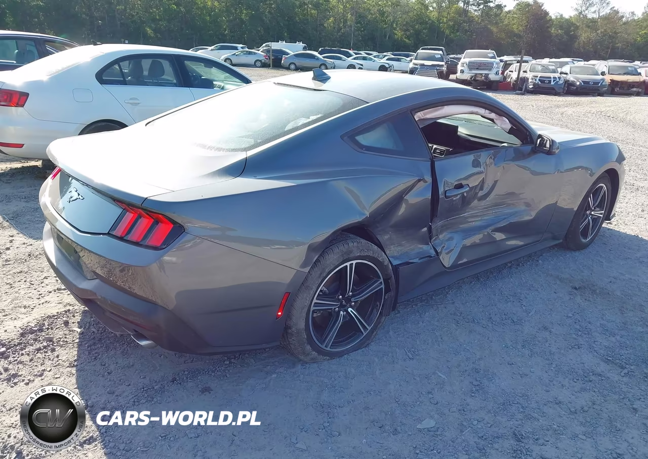 2024 Ford Mustang Ecoboost Fastback VIN:1FA6P8TH5R5135812 - 4
