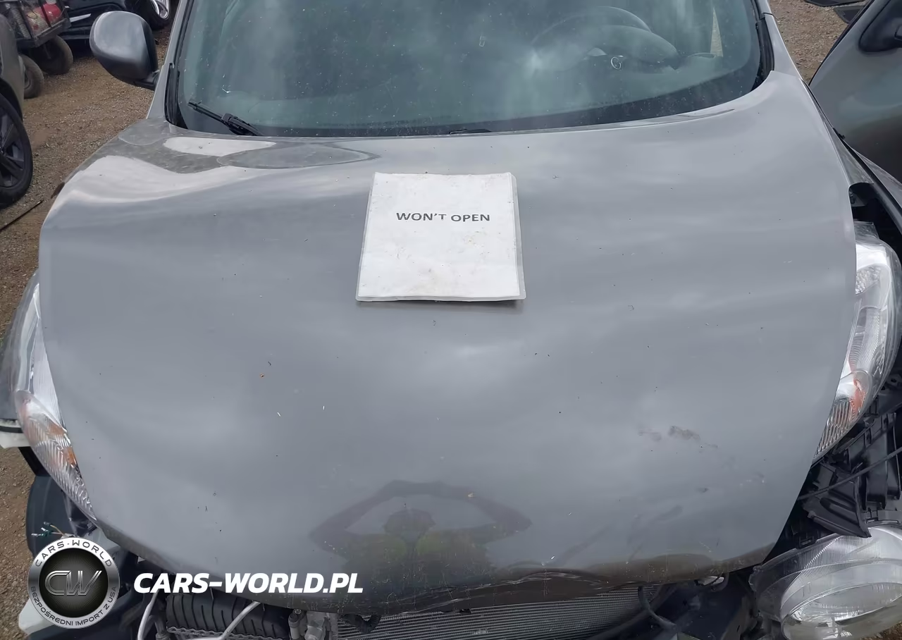 2011 Nissan Juke S VIN:JN8AF5MV3BT025051 - 10