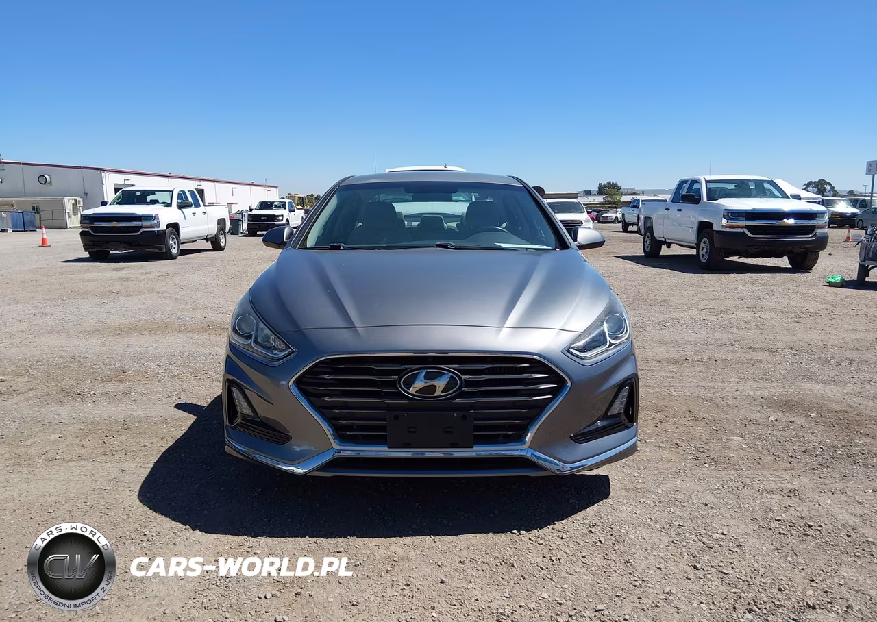 2019 Hyundai Sonata Eco VIN:5NPE24AA3KH774957 - 13