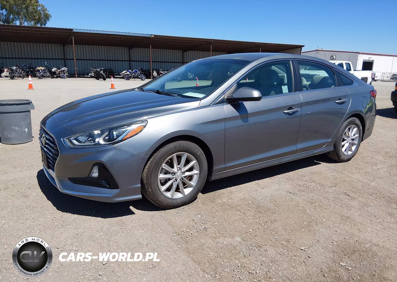 2019 Hyundai Sonata Eco VIN:5NPE24AA3KH774957 - 2