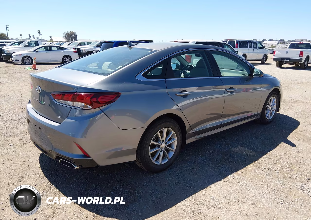 2019 Hyundai Sonata Eco VIN:5NPE24AA3KH774957 - 4