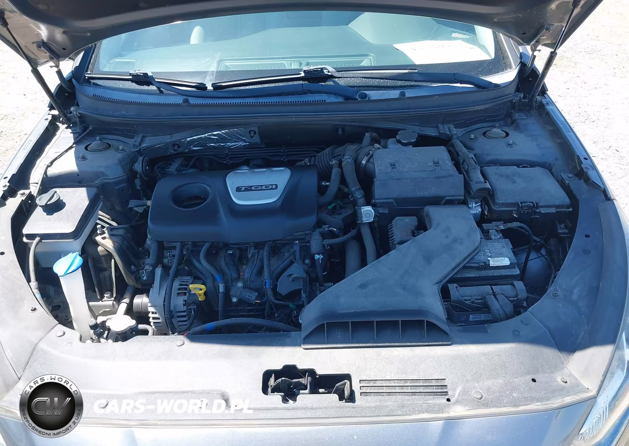 2019 Hyundai Sonata Eco VIN:5NPE24AAXKH774955 - 10