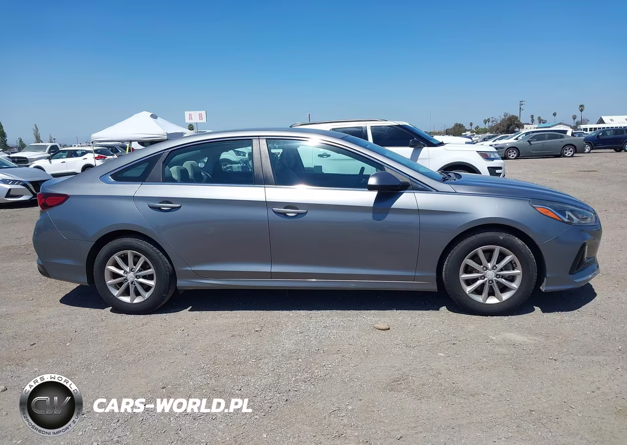 2019 Hyundai Sonata Eco VIN:5NPE24AAXKH774955 - 13