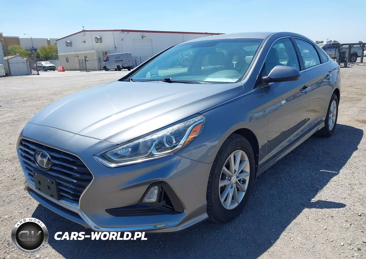 2019 Hyundai Sonata Eco VIN:5NPE24AAXKH774955 - 2