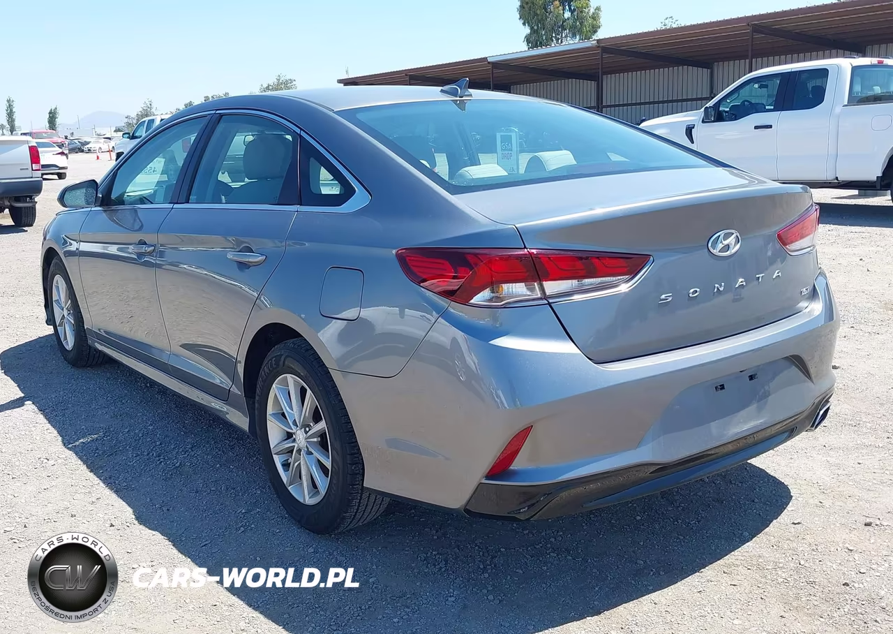 2019 Hyundai Sonata Eco VIN:5NPE24AAXKH774955 - 3