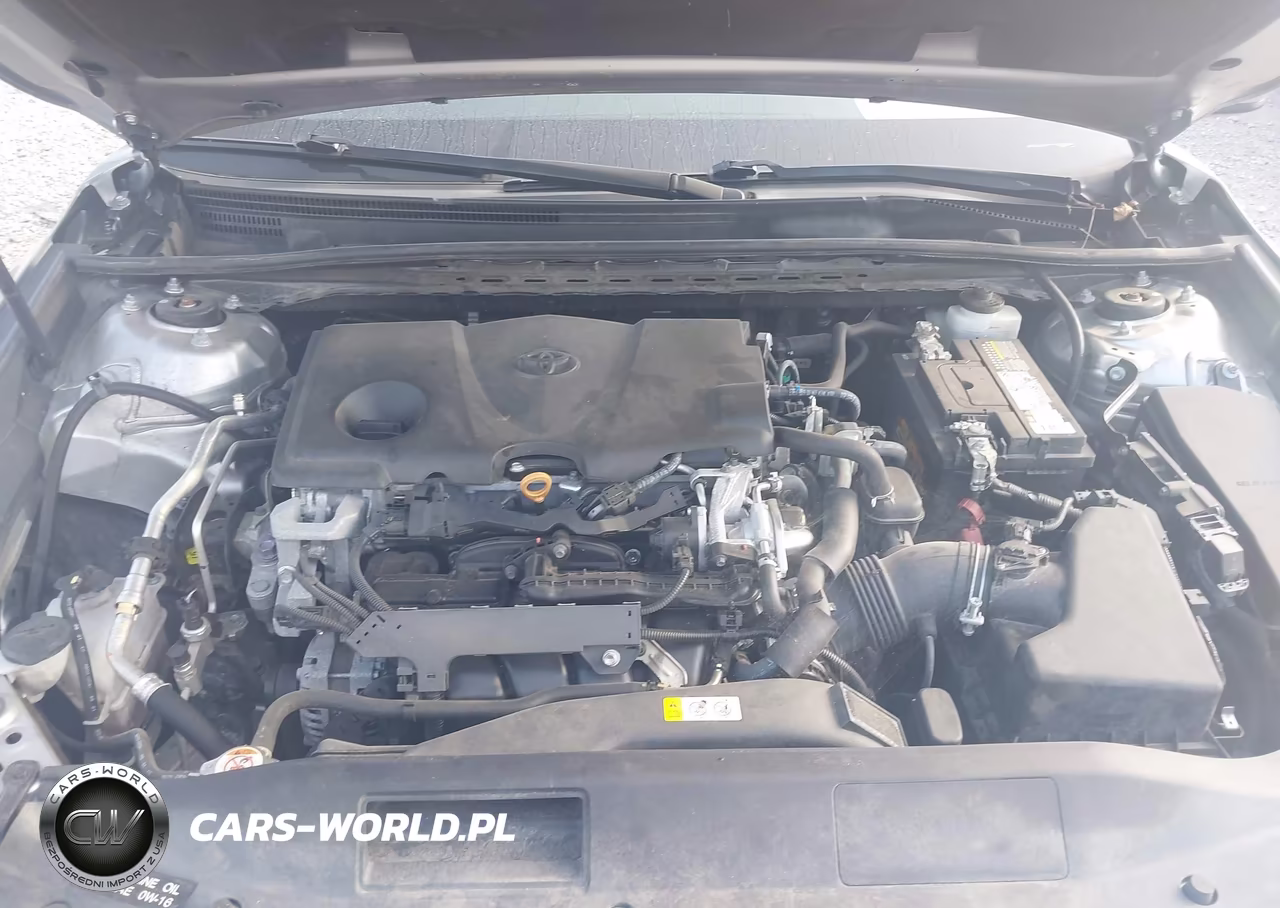 2019 Toyota Camry Le VIN:4T1B11HK7KU825591 - 10
