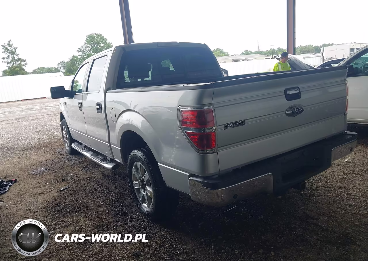 2013 Ford F-150 Fx2-King Ranch-Lariat-Limited-Platinum-Xl-Xlt VIN:1FTFW1CT7DKE59699 - 3