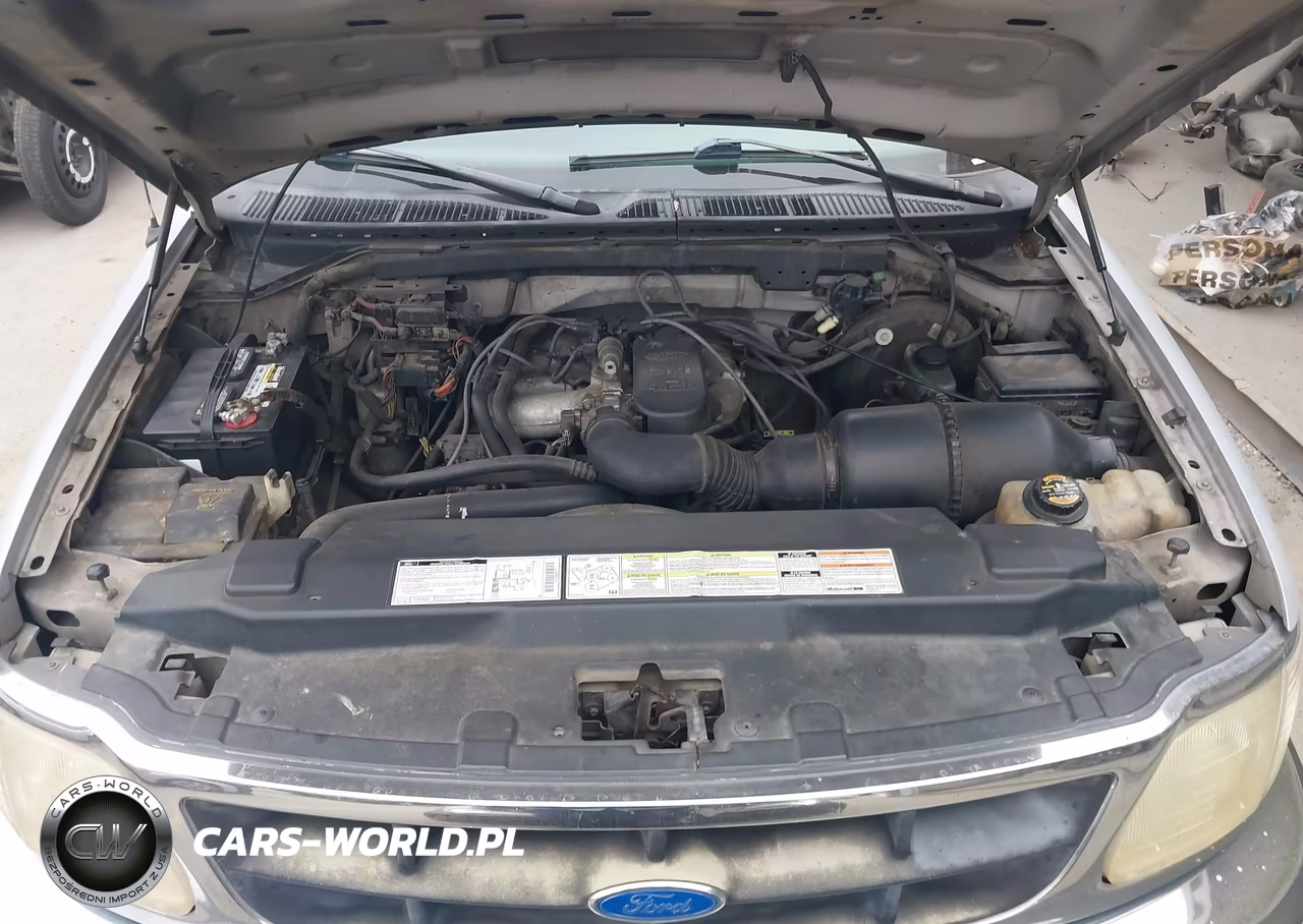 1997 Ford F-150 Standard Standard-Xl-Xlt VIN:1FTDX1726VKA30612 - 10