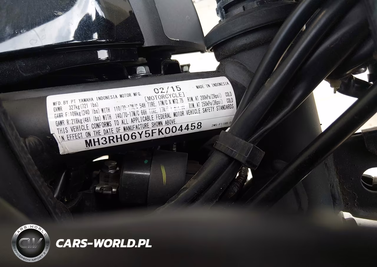 2015 Yamaha Yzfr3 VIN:MH3RH06Y5FK004458 - 10