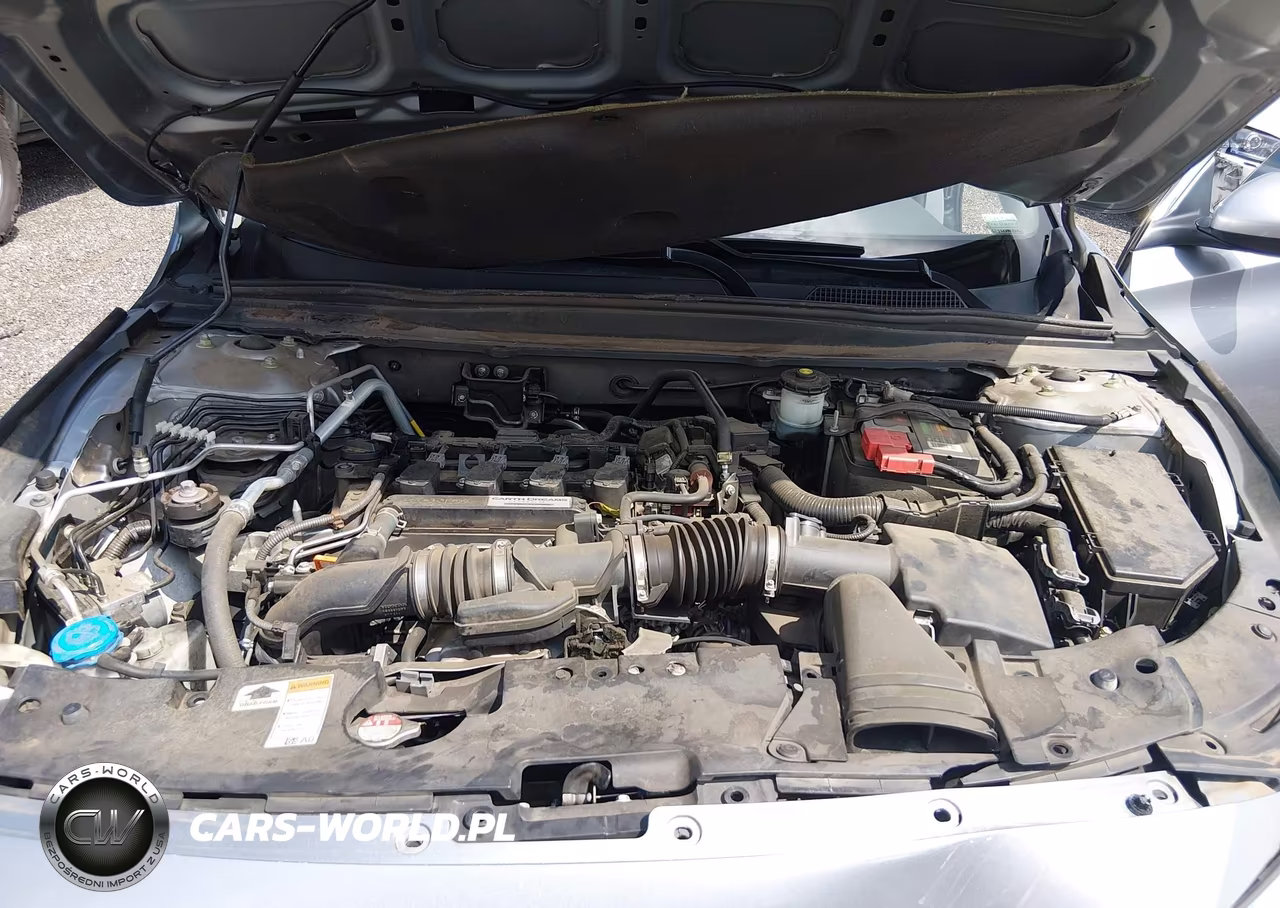 2019 Honda Accord Lx VIN:1HGCV1F15KA043249 - 10