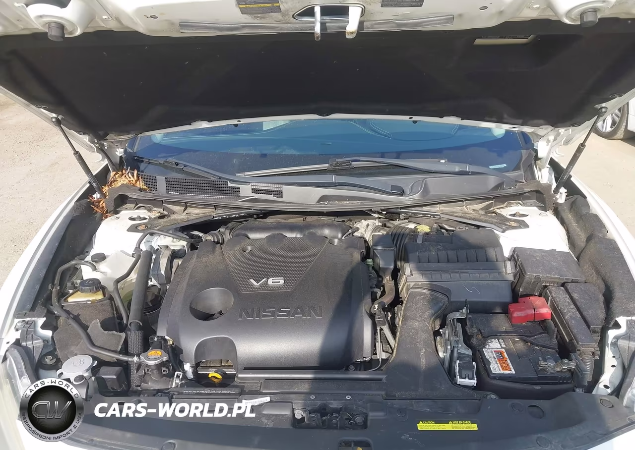 2017 Nissan Maxima 3.5 Sl VIN:1N4AA6APXHC440484 - 10