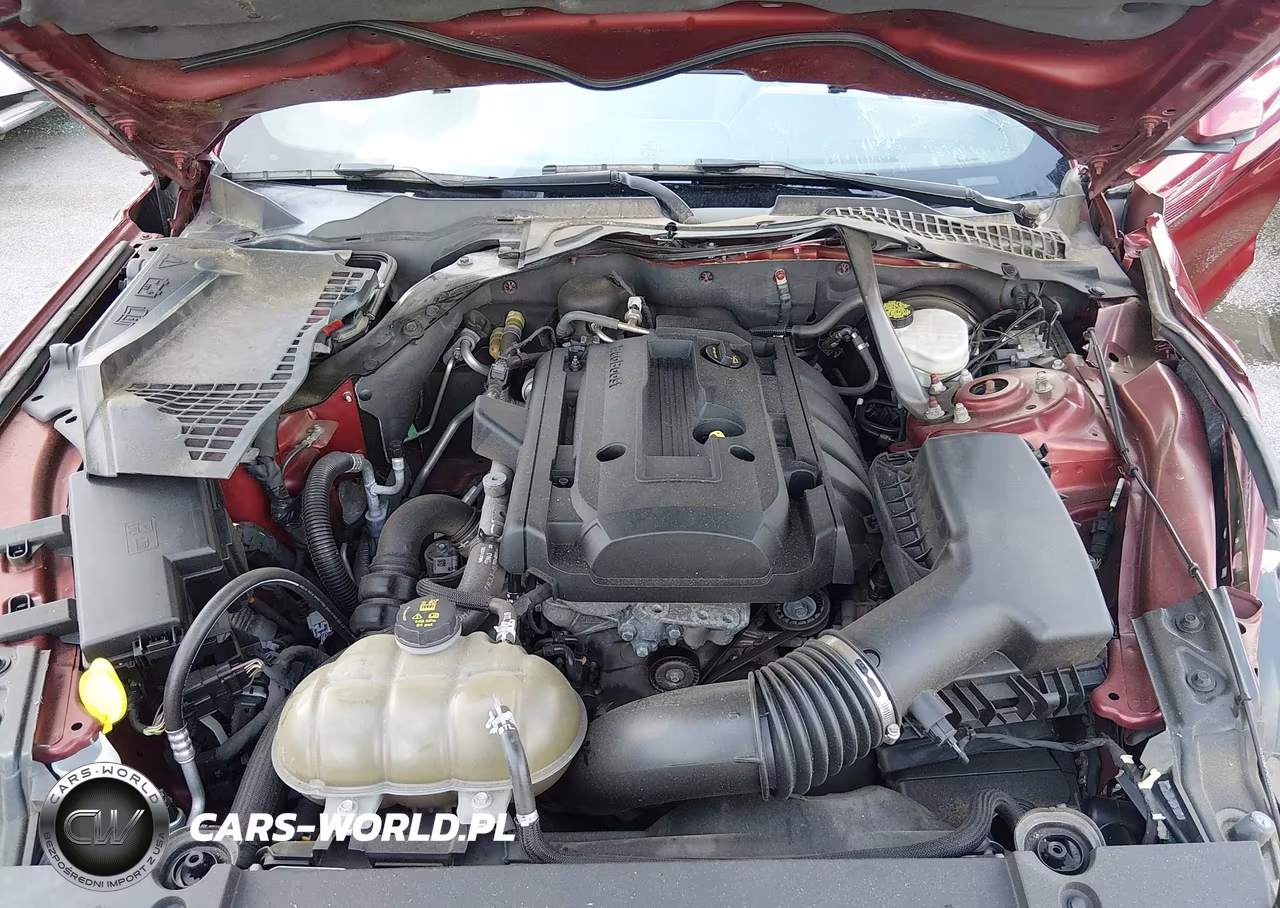 2015 Ford Mustang Ecoboost Premium VIN:1FATP8UH2F5328481 - 10