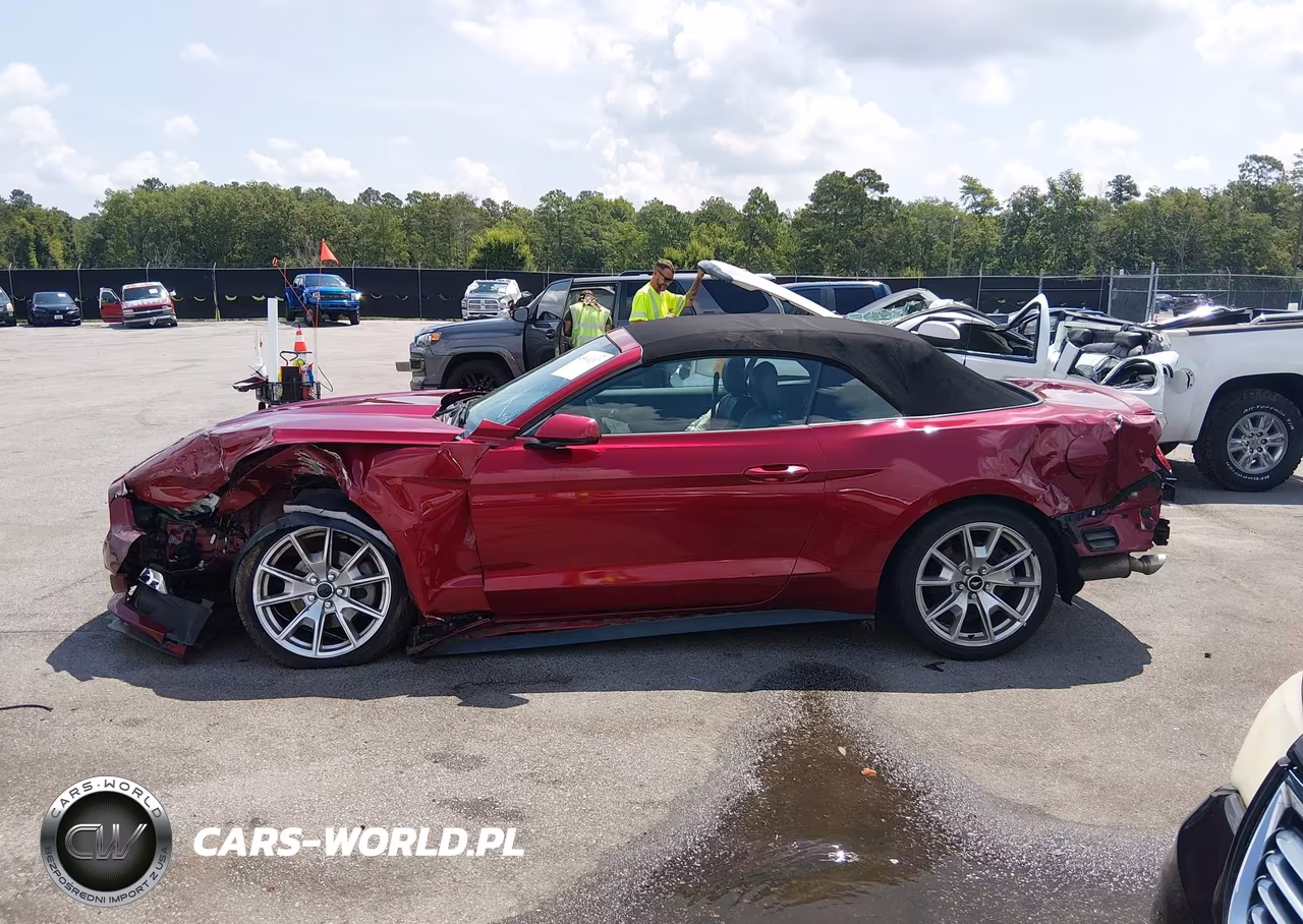 2015 Ford Mustang Ecoboost Premium VIN:1FATP8UH2F5328481 - 15
