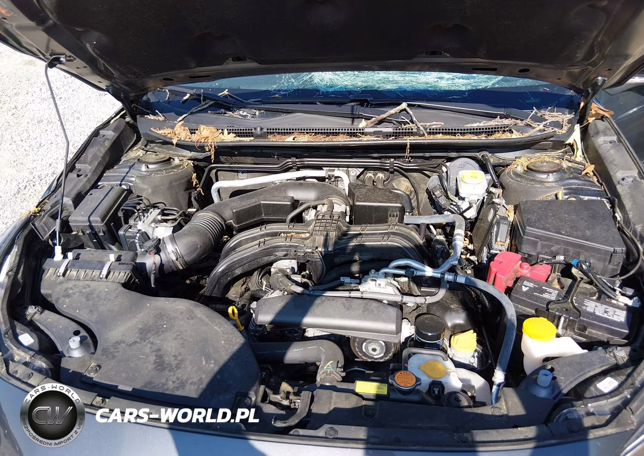 2024 Subaru Outback Limited VIN:4S4BTANCXR3201470 - 10