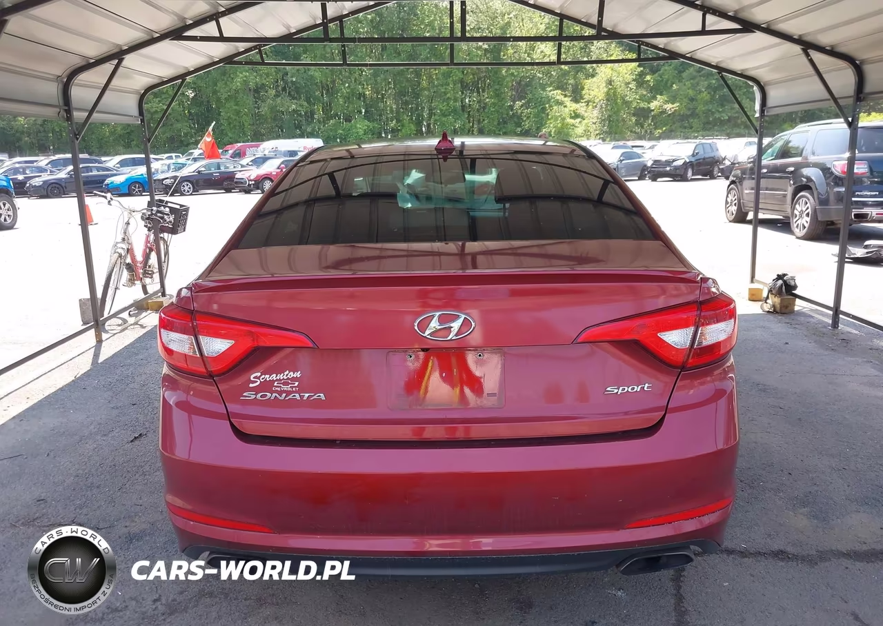 2016 Hyundai Sonata Sport VIN:5NPE34AF8GH430024 - 16