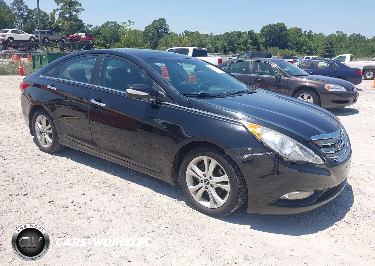 2013 Hyundai Sonata Limited VIN:5NPEC4AC1DH796652 - 1