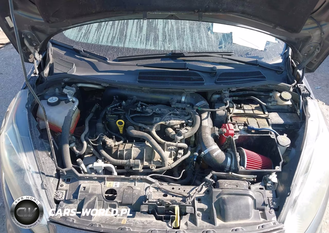 2016 Ford Fiesta St VIN:3FADP4GX4GM164792 - 10