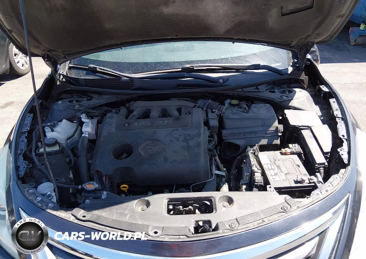 2013 Nissan Altima 3.5 Sl VIN:1N4BL3AP1DN546043 - 10