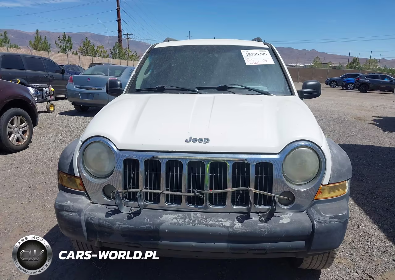 2006 Jeep Liberty Sport VIN:1J4GL48K46W289953 - 6