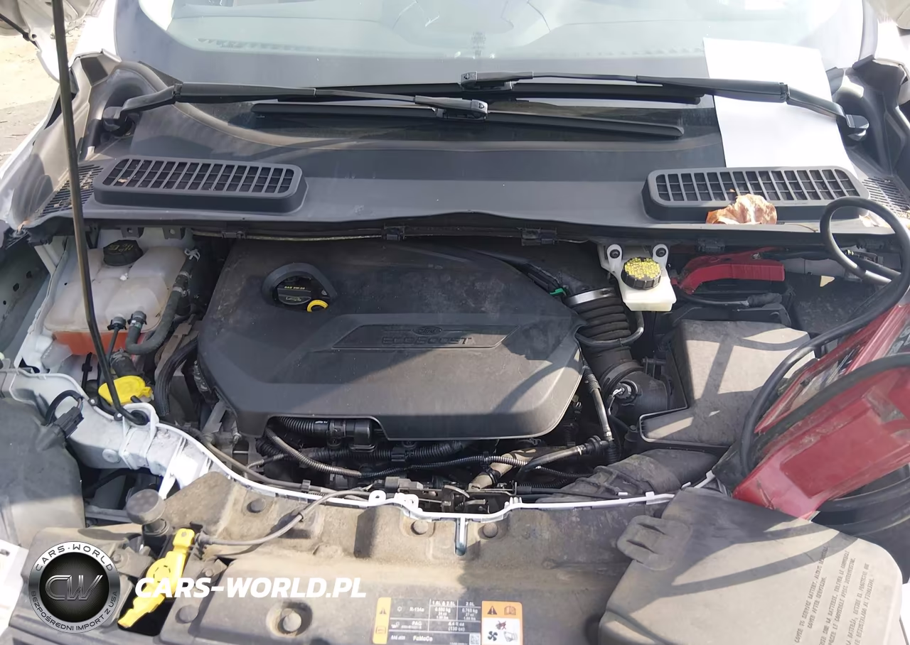 2014 Ford Escape Se VIN:1FMCU0GX2EUC89818 - 10