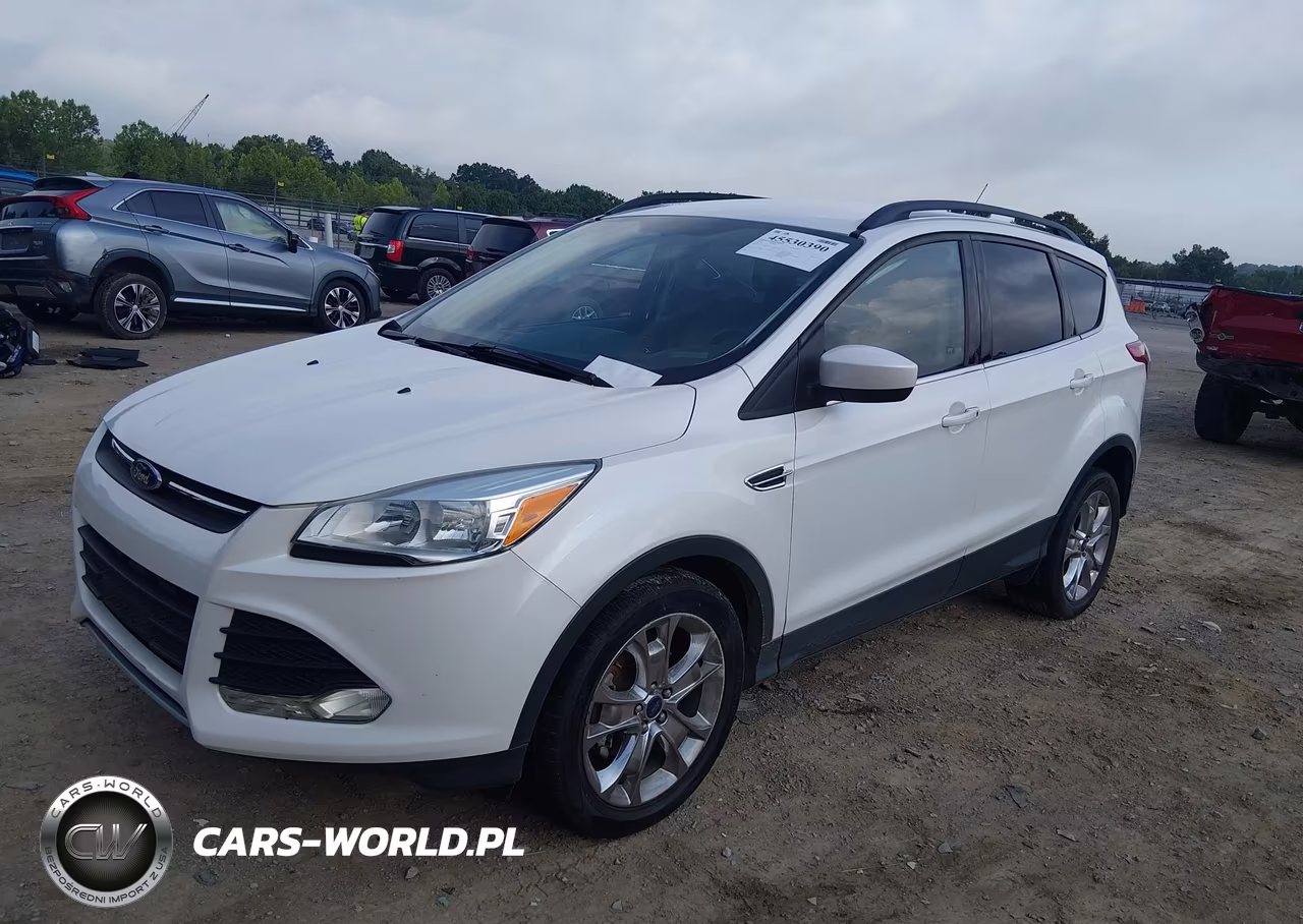 2014 Ford Escape Se VIN:1FMCU0GX2EUC89818 - 2