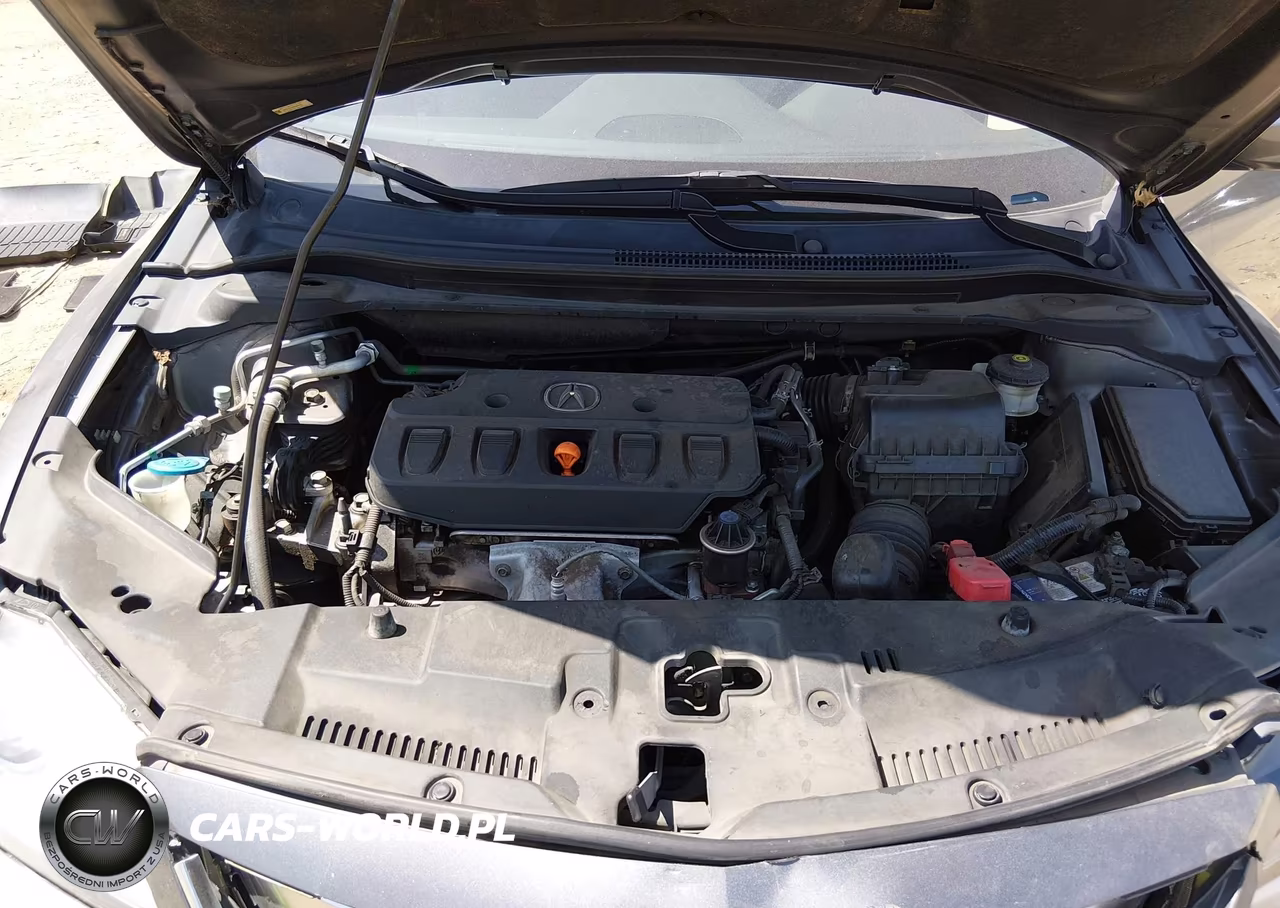 2013 Acura Ilx 2.0L VIN:19VDE1F53DE000690 - 10