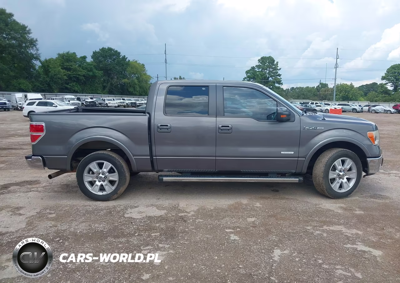 2013 Ford F-150 Fx2-King Ranch-Lariat-Limited-Platinum-Xl-Xlt VIN:1FTFW1CT8DKG47650 - 13