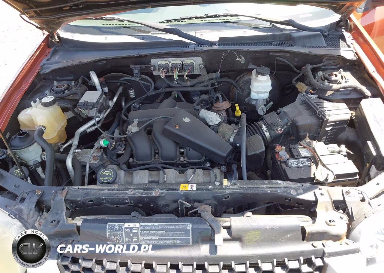 2006 Ford Escape Xlt-Xlt Sport VIN:1FMCU93196KB57030 - 10