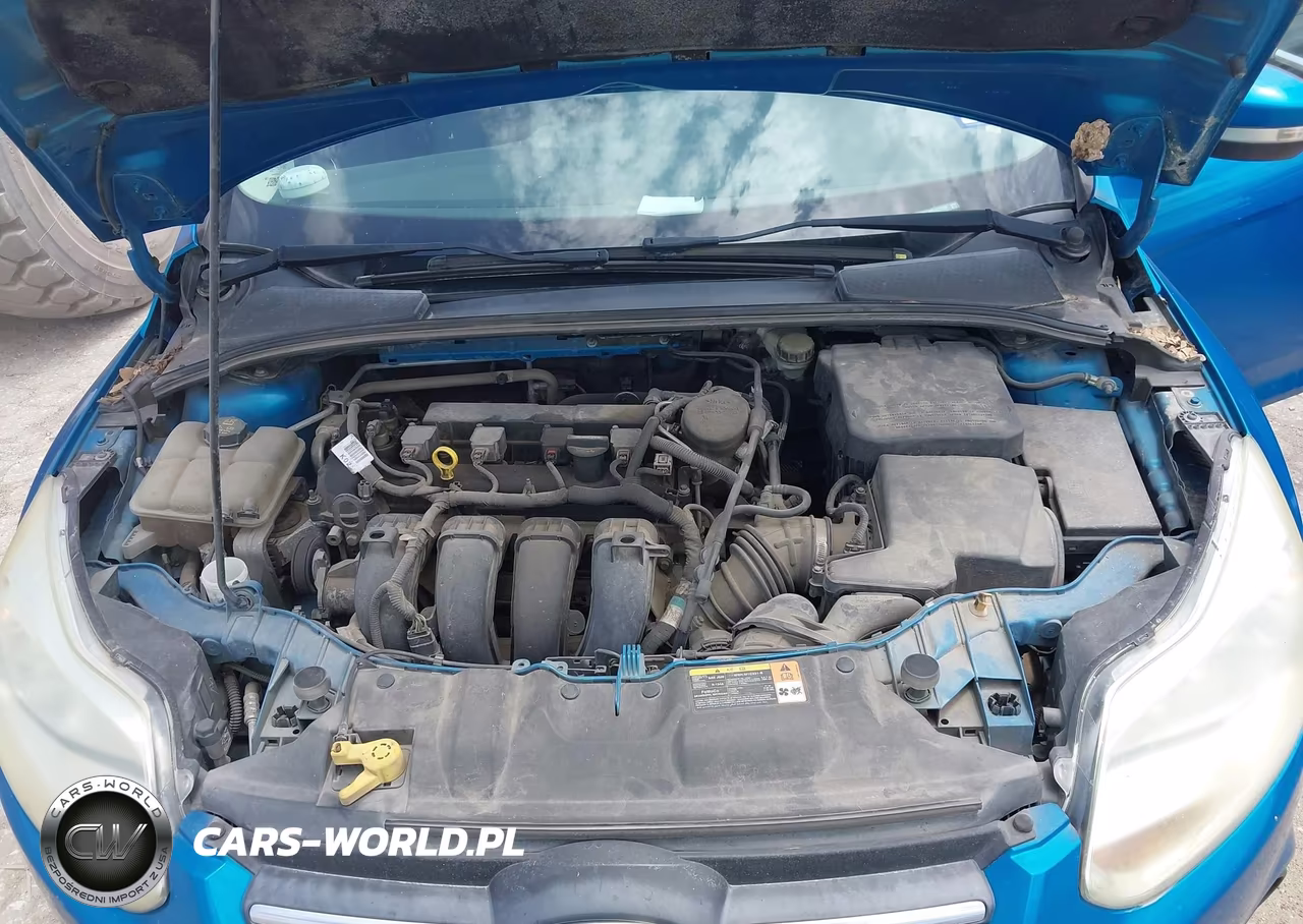 2014 Ford Focus Se VIN:1FADP3F29EL137859 - 10