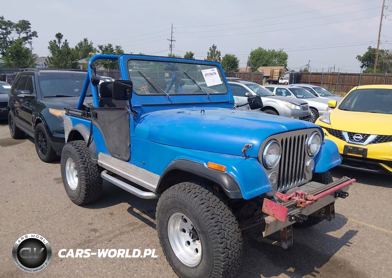 1981 Jeep Jeep Cj5