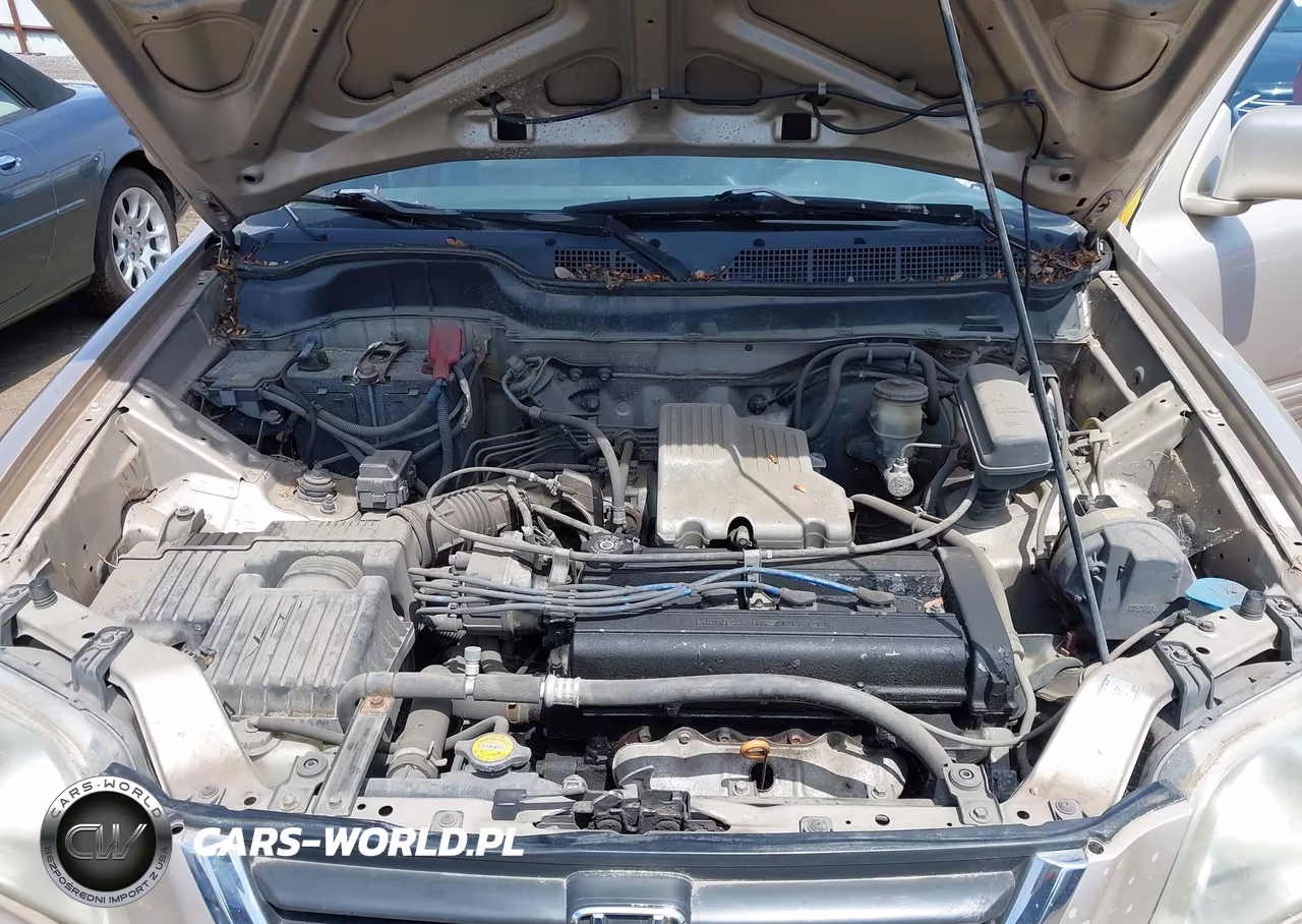 2001 Honda Cr-V Special Edition VIN:JHLRD18701C027804 - 10