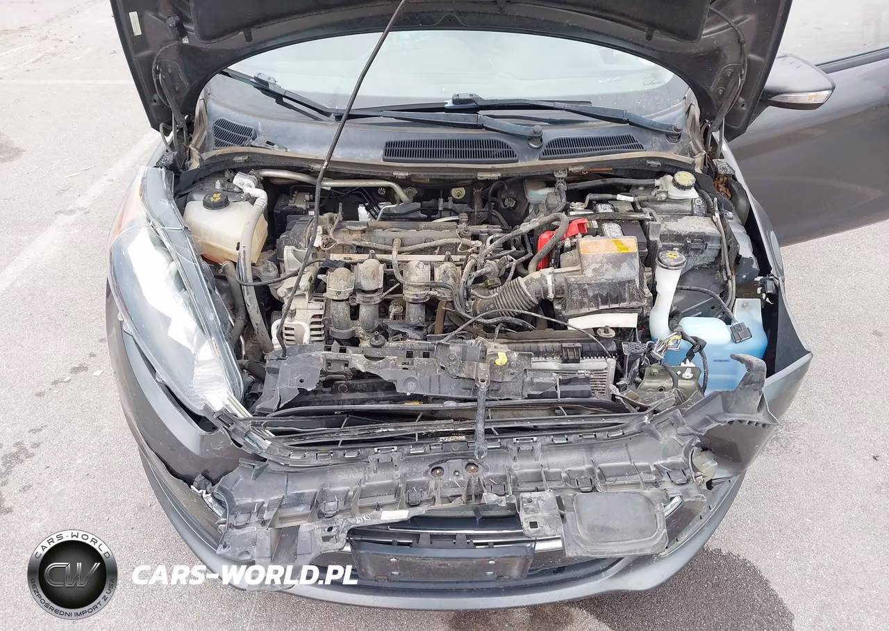 2016 Ford Fiesta Se VIN:3FADP4EJ1GM143400 - 10