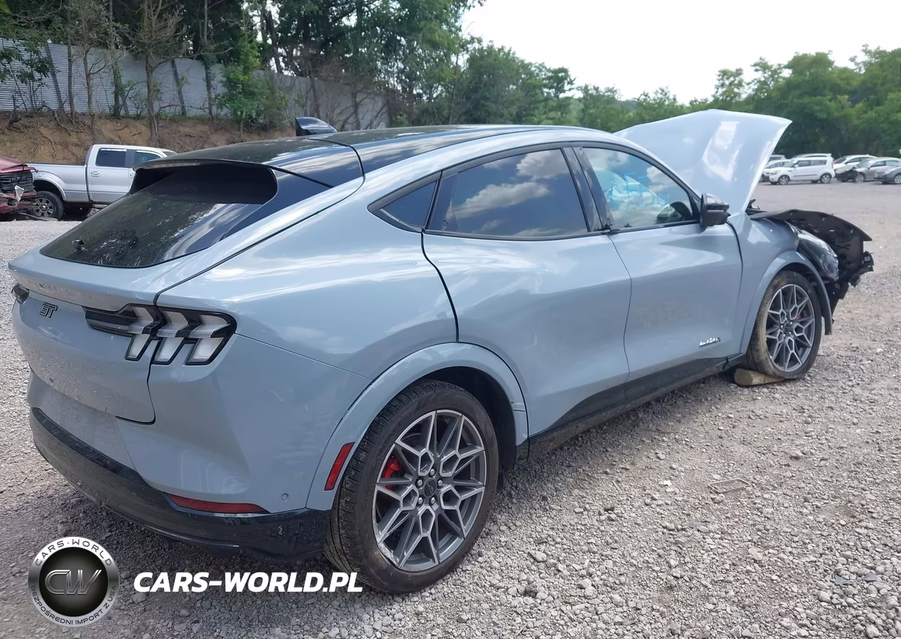 2024 Ford Mustang Mach-E Gt VIN:3FMTK4SX5RMA47359 - 4