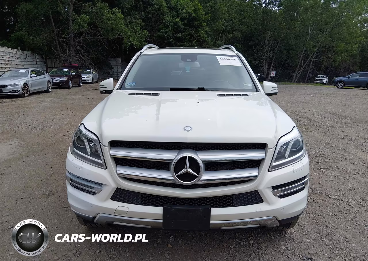 2013 Mercedes-Benz Gl 450 4Matic VIN:4JGDF7CE5DA186789 - 12