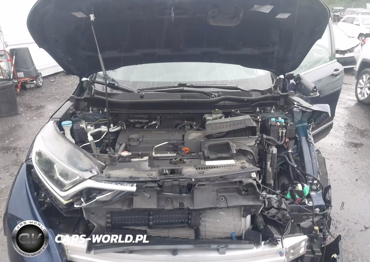 2019 Honda Cr-V Lx VIN:2HKRW6H36KH212804 - 10