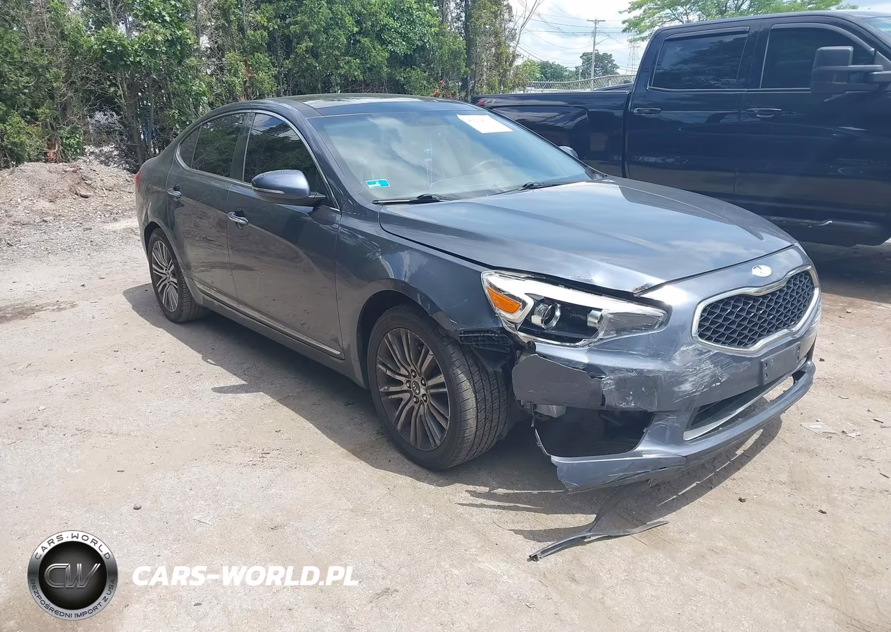 2014 Kia Cadenza Premium
