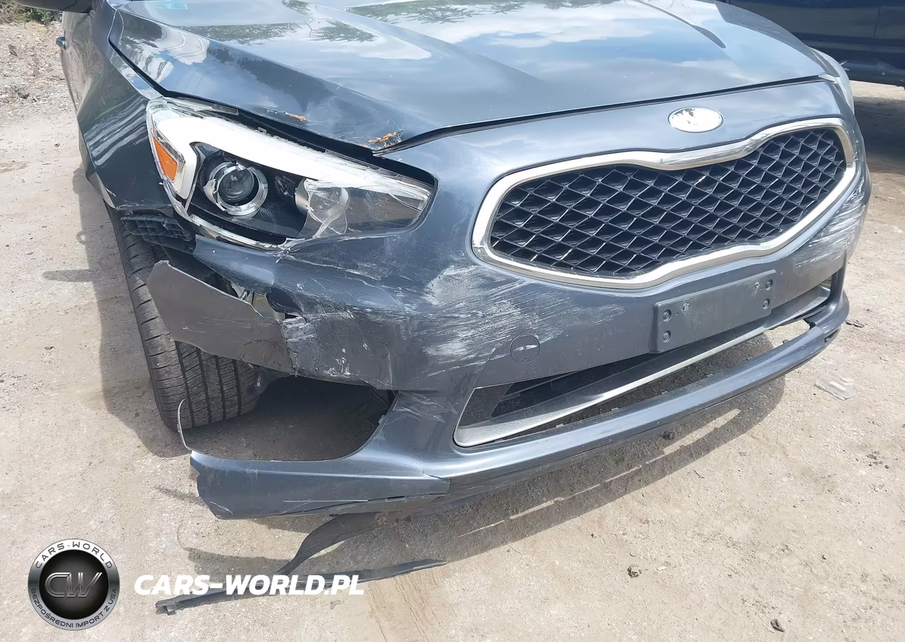2014 Kia Cadenza Premium VIN:KNALN4D74E5153436 - 6