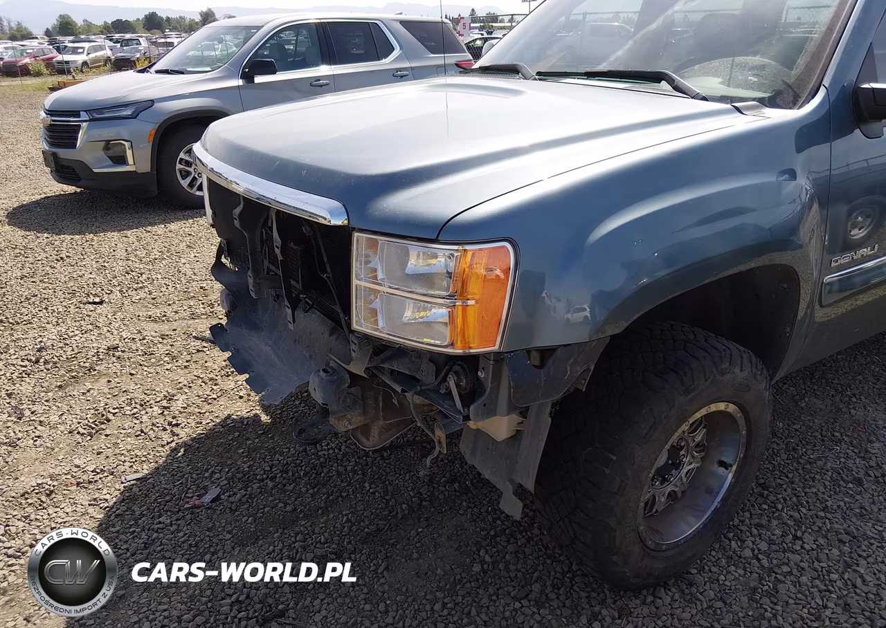 2011 GMC Sierra 1500 Denali VIN:3GTP2XE21BG287925 - 20