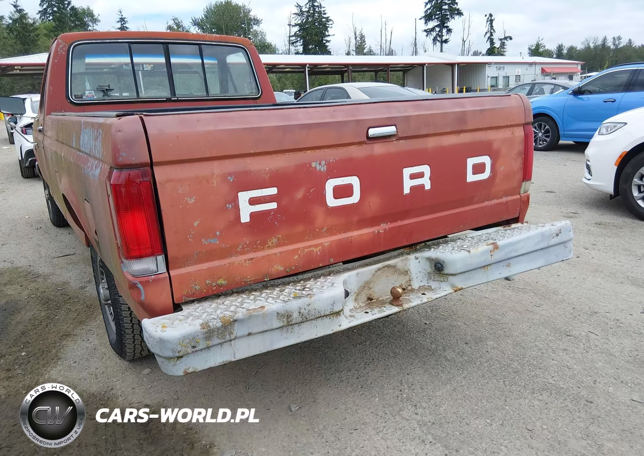 1987 Ford F150 VIN:1FTDF15Y6HKB06943 - 13