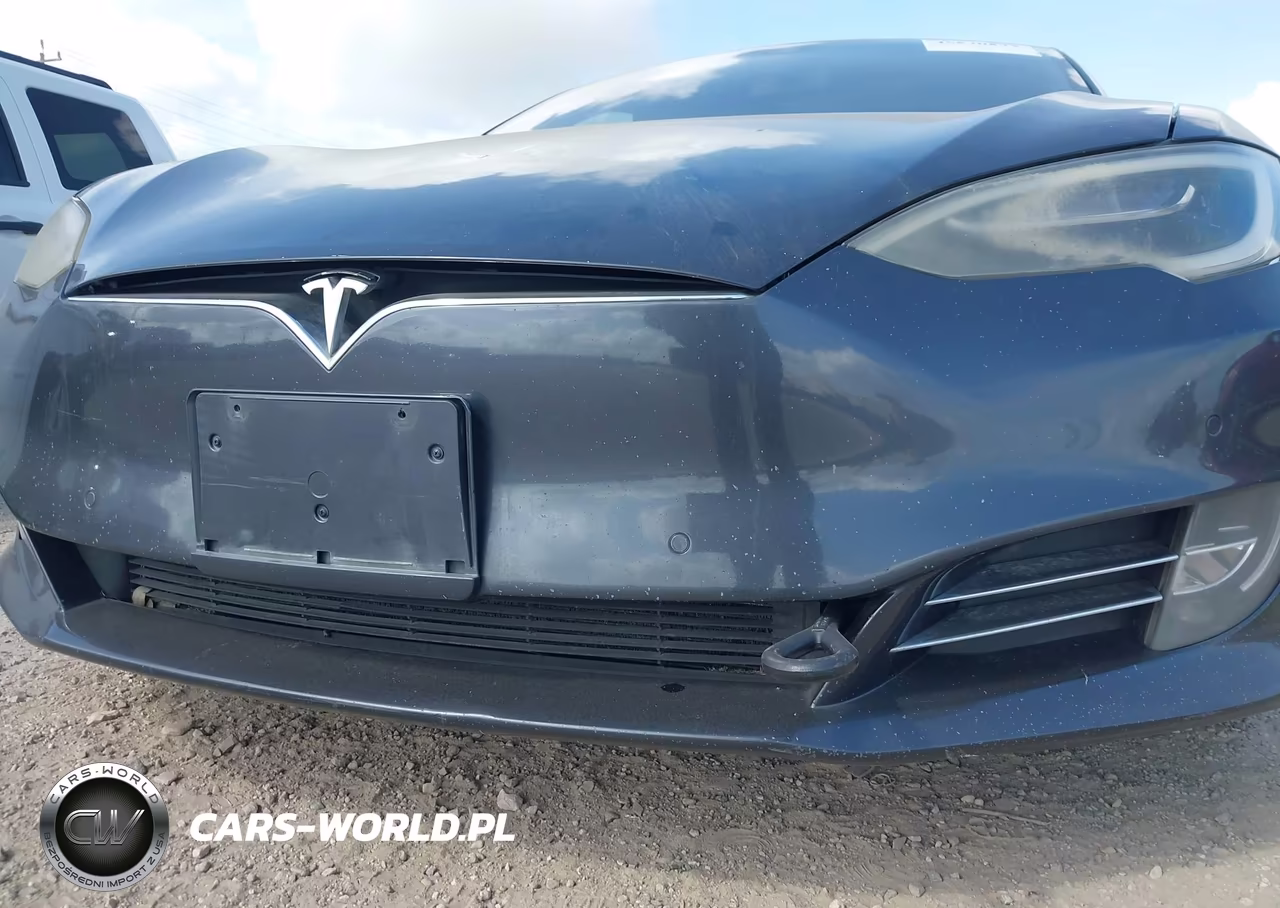 2016 Tesla Model S 60-70-75-85 VIN:5YJSA1E15GF144359 - 19