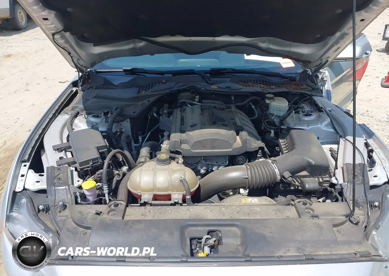 2017 Ford Mustang Ecoboost VIN:1FA6P8TH8H5214065 - 10