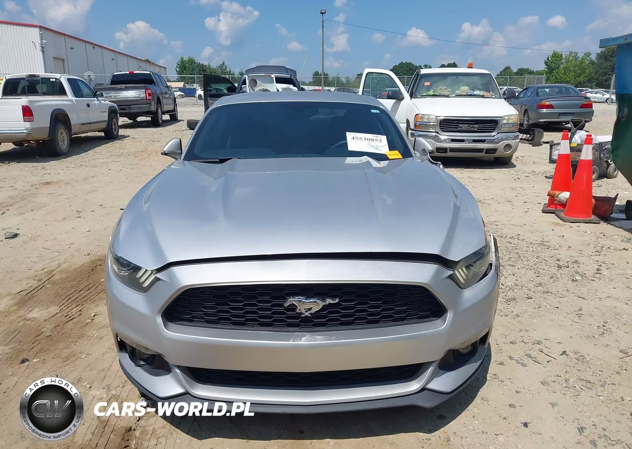 2017 Ford Mustang Ecoboost VIN:1FA6P8TH8H5214065 - 13