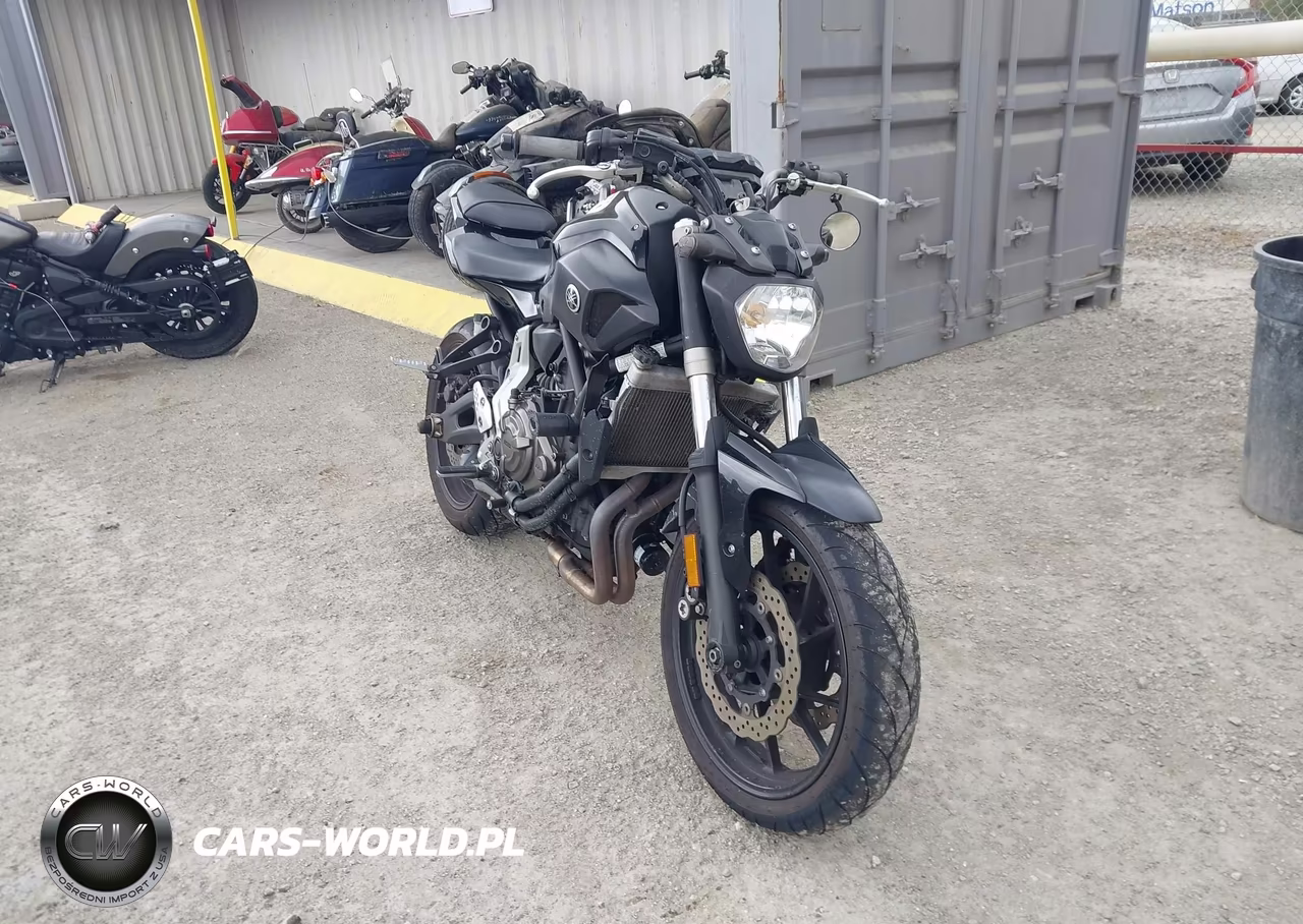2016 Yamaha Fz07