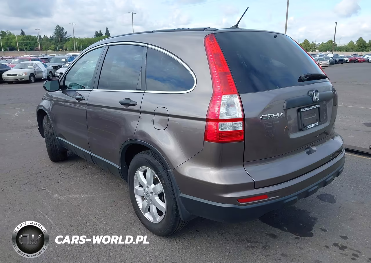 2011 Honda Cr-V Se VIN:5J6RE3H46BL005006 - 3