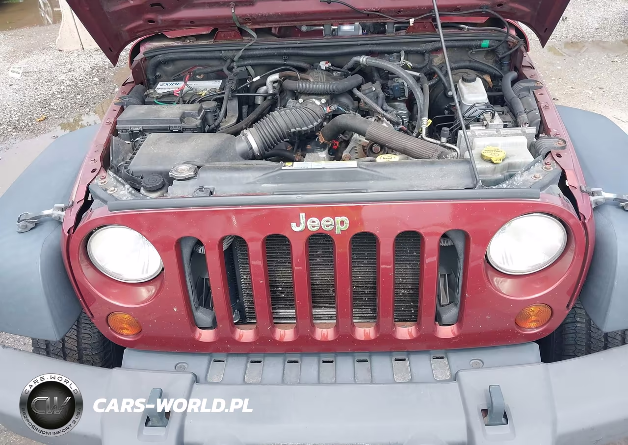 2010 Jeep Wrangler Sport VIN:1J4AA2D13AL187390 - 10