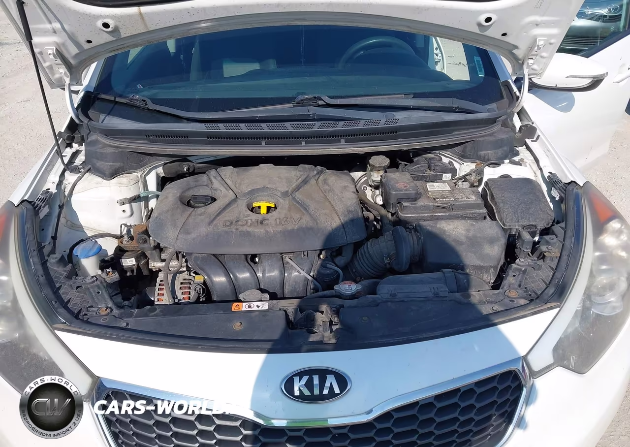 2016 Kia Forte Lx VIN:KNAFX4A61G5498025 - 10