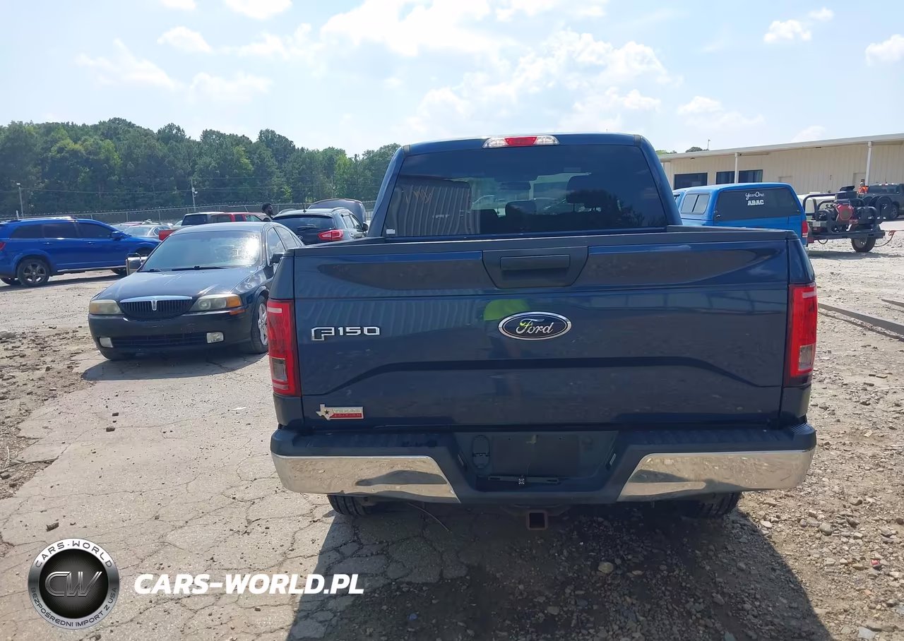 2016 Ford F-150 Lariat-Xl-Xlt VIN:1FTEW1EP1GKE11969 - 16